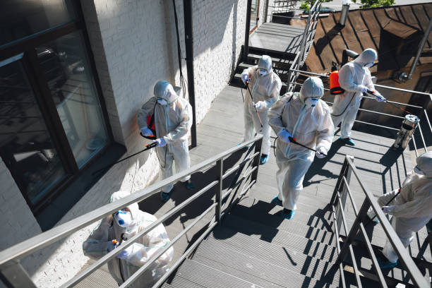Mold Remediation for Vacation Homes in Holly Hills, CO