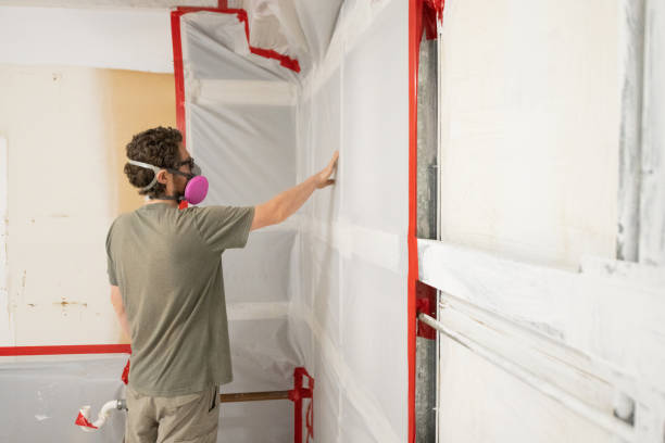 Best Residential Mold Inspection & Testing  in Holly Hills, CO
