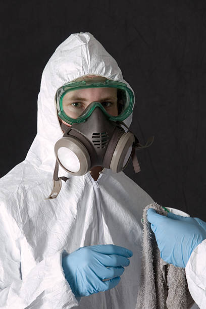 Asbestos and Lead Testing During Mold Inspection in Holly Hills, CO